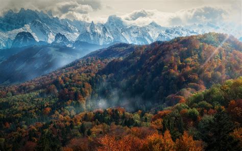 Download Sunbeam Cloud Fog Fall Mountain Forest Nature Landscape HD ...