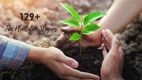 129+ Latest & Catchy Tree Plantation Quotes (2023)