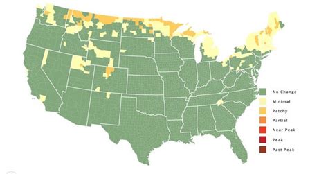 Michigan fall color map 2023: Week-by-week autumn leave predictions