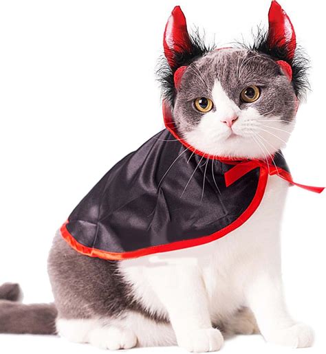 14 Best Halloween Costumes For Your Cat This Year