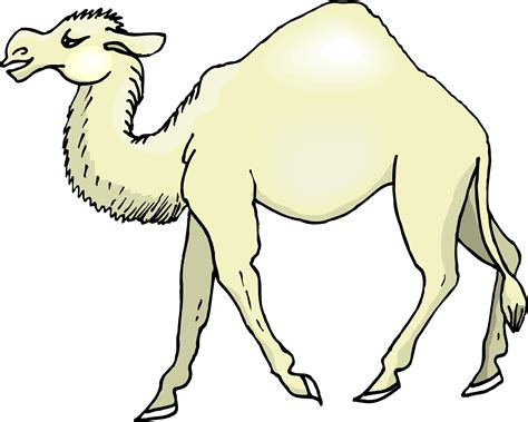 Camel Cartoon Pictures - Cliparts.co