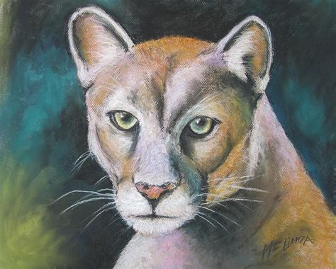 Florida Panther Drawing at GetDrawings | Free download