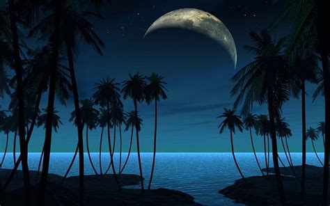 Beach at Night, beach, moon, nature, palm, trees, sea, night, HD ...