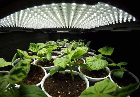 Top Rated LED Grow Lights for 2018 – LED Plant Lights