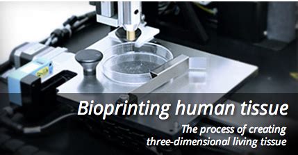 Organovo Presents Data on Fully Cellular 3D Bioprinted Kidney Tissue - 3DPrint.com | The Voice ...