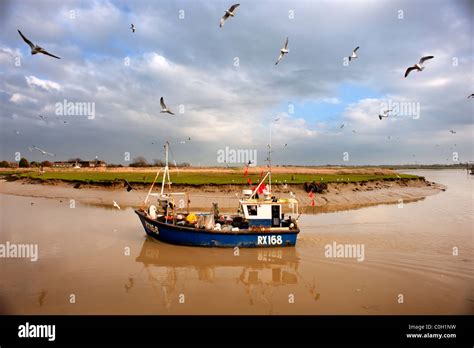 A fishing boat returning to Rye Harbour Stock Photo - Alamy