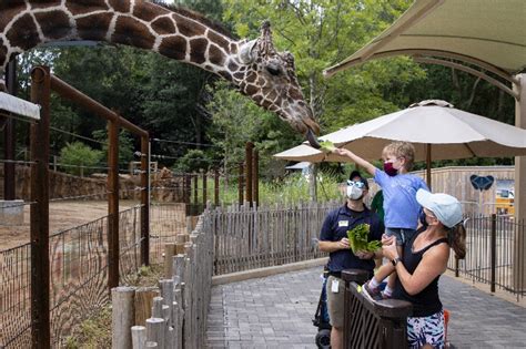 Zoo Atlanta Tickets | Tripster