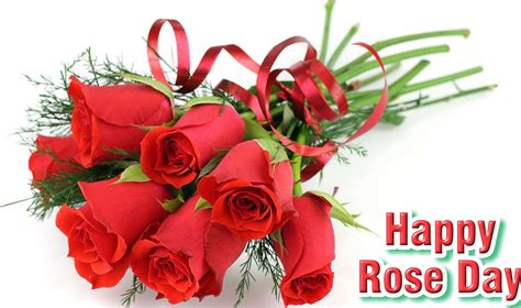 happy rose day quotes | ImageBank.biz