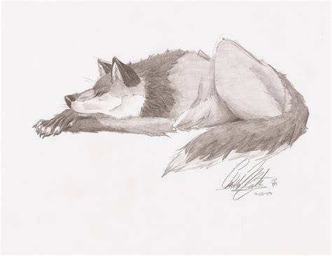 Wolf Laying Down Drawing - Drawing.rjuuc.edu.np