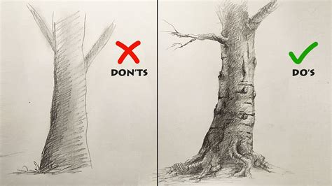 Don'ts & Do's: How to Draw Realistic Tree Trunk | Easy Step By Step | Pencil Drawing Tutorial ...