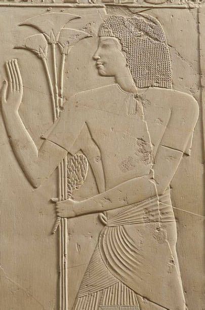 Egypt papyrus carrier tomb no 55 of the Cheikh abd elGournah necropolis West Thebes The elegance ...