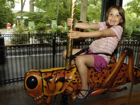 Bronx Zoo: Animal exhibits, zoo events & nearby family attractions