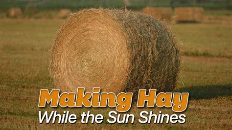 Making Hay While The Sun Shines - YouTube