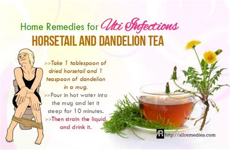 30 Natural Home Remedies for Uti Infections in Women & Men