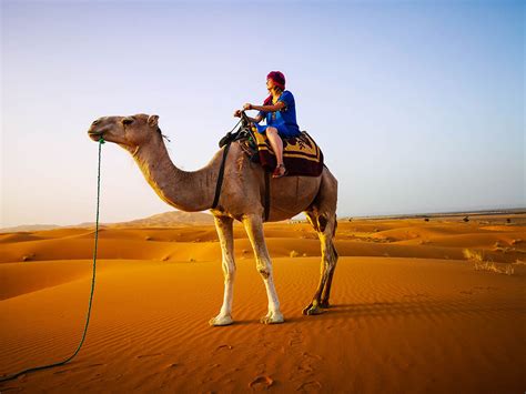 Camel-ride-in-the-Sahara-in-Morocco – The Globetrotting Detective