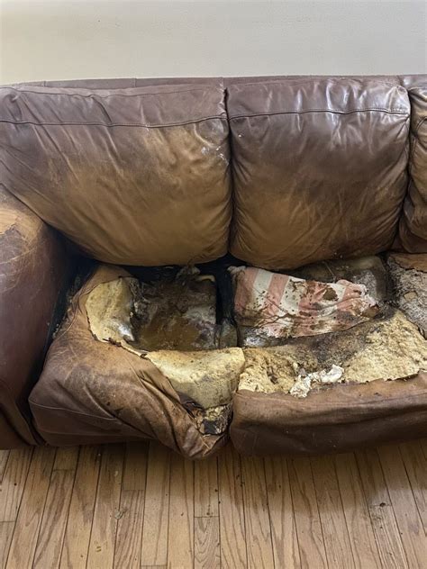 Horror pics show feces-covered couch that FUSED to body of recluse, 36, while she sat there for ...