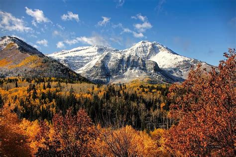 Mount Timpanogos In Autumn Utah Mountains Photograph by Tracie Kaska