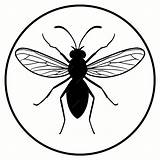 Premium Vector  Mosquitoes Silhouettes And icons Black Flat color sketch template