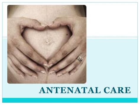 PPT - ANTENATAL CARE PowerPoint Presentation, free download - ID:612382