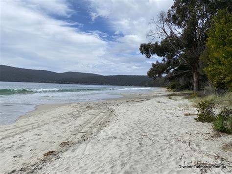 Top 16 Best Things To Do On Bruny Island! - Tasmania Explorer