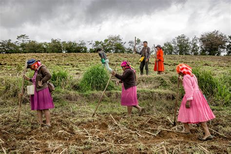 Climate Change Has Central Americans Fleeing to the U.S. - Bloomberg