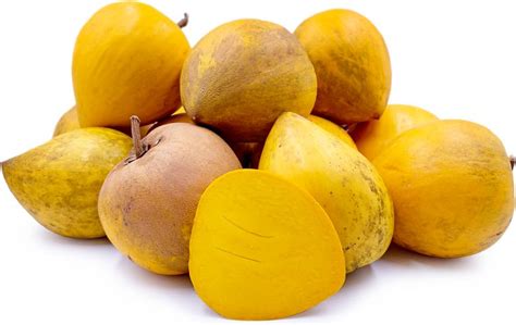 Canistel or egg fruit | Fruit, Health benefits of eggs, Fruit health