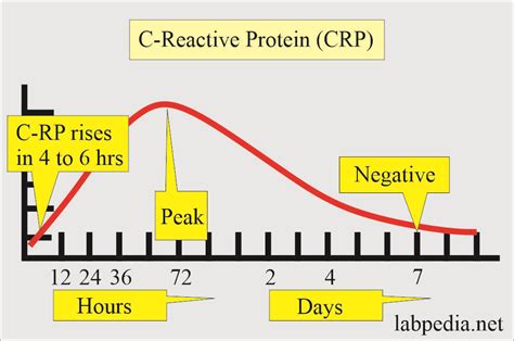 C-Reactive Protein (CRP), High-Sensitivity C-Reactive Protein (hs-CRP ...