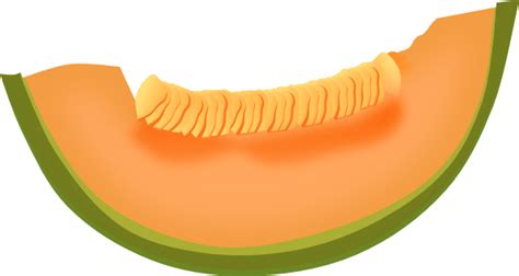 Cantaloupe Slice Clip Art at Clker.com - vector clip art online, royalty free & public domain