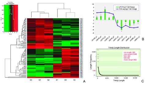 Statistics of transcriptomic data and cluster analysis of... | Download ...