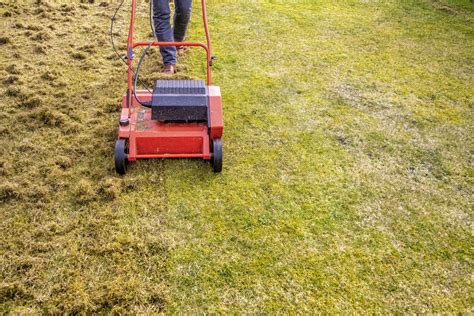 What Is Scarifying A Lawn? Why Scarify Your Grass