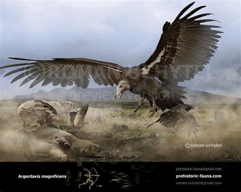 Argentavis magnificens | Prehistoric creatures, Prehistoric animals, Prehistoric wildlife