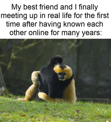 It was worth the wait. : r/wholesomememes