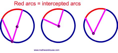 Arc of a circle, minor arc, major arc, and central angle.