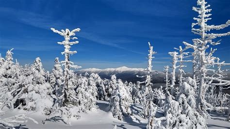 North Twin Mountain (New Hampshire) Mountain Information