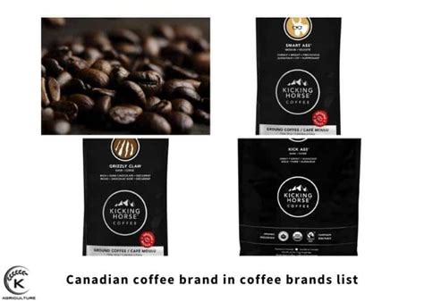 Coffee Brands List: Top 8 Famous Coffee Brands In The World