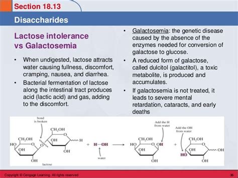 Chem 45 Biochemistry: Carbohydrates