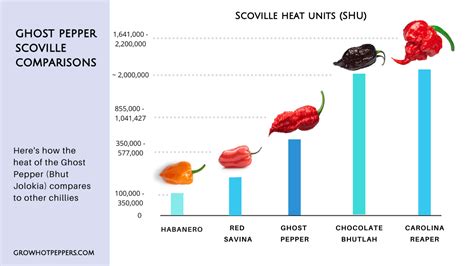 Chocolate reaper pepper scoville - xolercrew