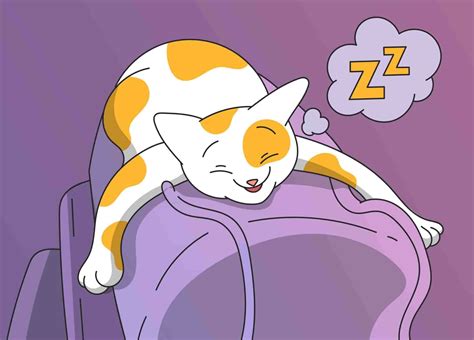 5 Reasons Behind Cat Snoring: Is It Normal?