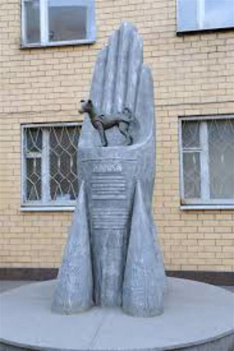 Laika Monument, moscow, Russia - Top Attractions, Things to Do ...