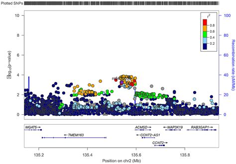 Frontiers | Integrating multi-omics data to reveal the effect of genetic variant rs6430538 on ...