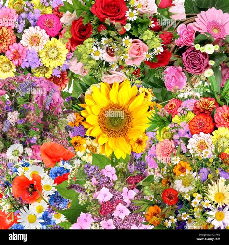 background with flower bouquets Stock Photo - Alamy