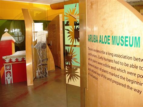 Aruba Aloe Museum & Factory since 1890 July 2019 | Aruba, Aloe vera plant, Colored sand beaches