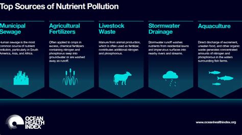 Reducing Nutrient Pollution - 1Mississippi