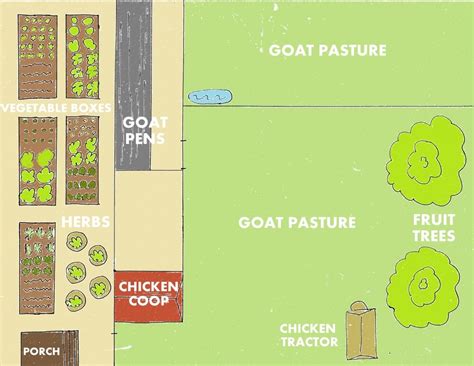 Backyard Farm Designs for Self-Sufficiency | Weed 'em & Reap