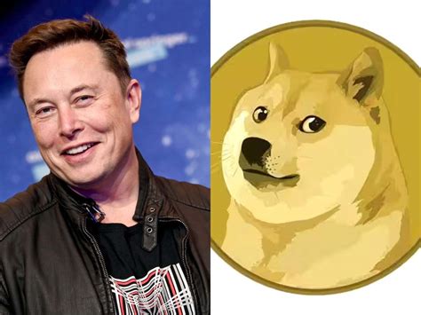 Elon Musk Changes Twitter Logo To The Dogecoin Meme