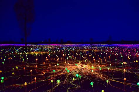 A Magical Night at the Field of Light at Uluru - Explore Shaw