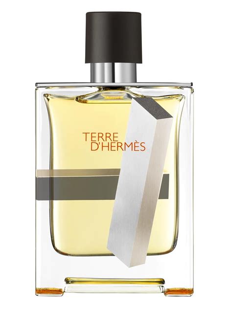 Terre d'Hermes Perspective Hermès cologne - a fragrance for men 2014