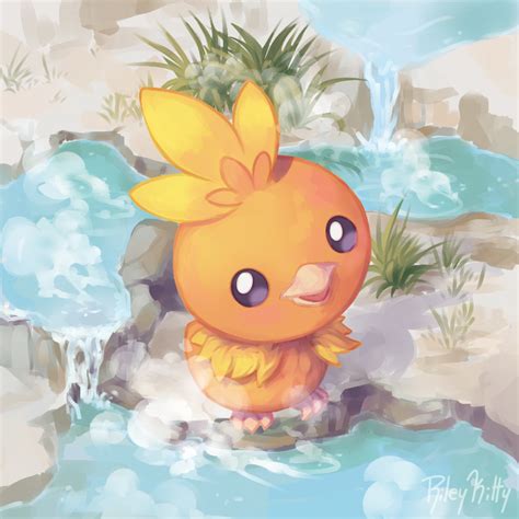 Torchic by RileyKitty on DeviantArt | Cute pokemon pictures, Cool ...