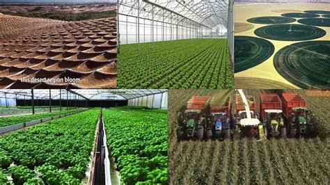 The Future of High Tech Desert Farming! Modern Technology Agriculture Turning Desert Green ...