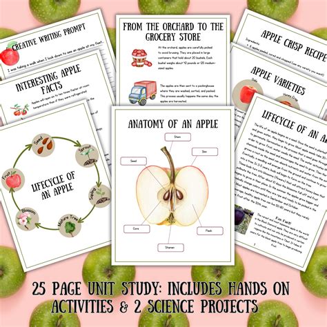 Apple Unit Study, Apple Anatomy and Life Cycle, Homeschool Printable ...